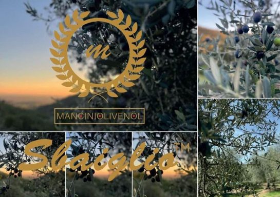 Goldenes Logo auf Olivenbaum-Hintergrund mit Bildern und Sonnenuntergang.