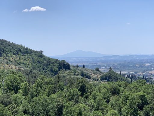 Landschaft mit grünen Hügeln, bewaldeten Bereichen und weiten Ausblicken auf die Berge.